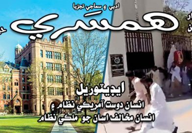 ​ييل جون ديوارون ۽ هڪ عام شهريءَ جو وقار: آمريڪي سفر جا ڪجهه مشاهدا